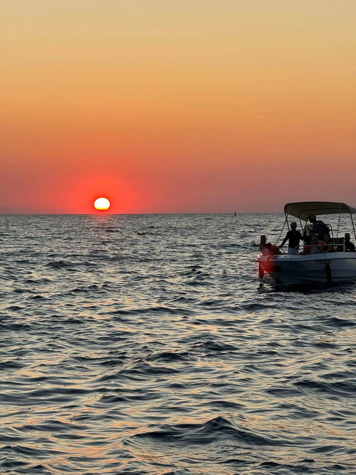 Sunset Dolphin Watching Tour from Rovinj