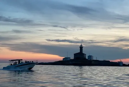 Group Sunset Dolphin Watching Tour from Rovinj