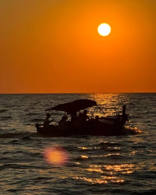 Sunset Dolphin Watching Tour from Rovinj