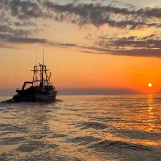 A fishing boat at sunset on the Adriatic Sea during a dolphin tour in Rovinj, Croatia.