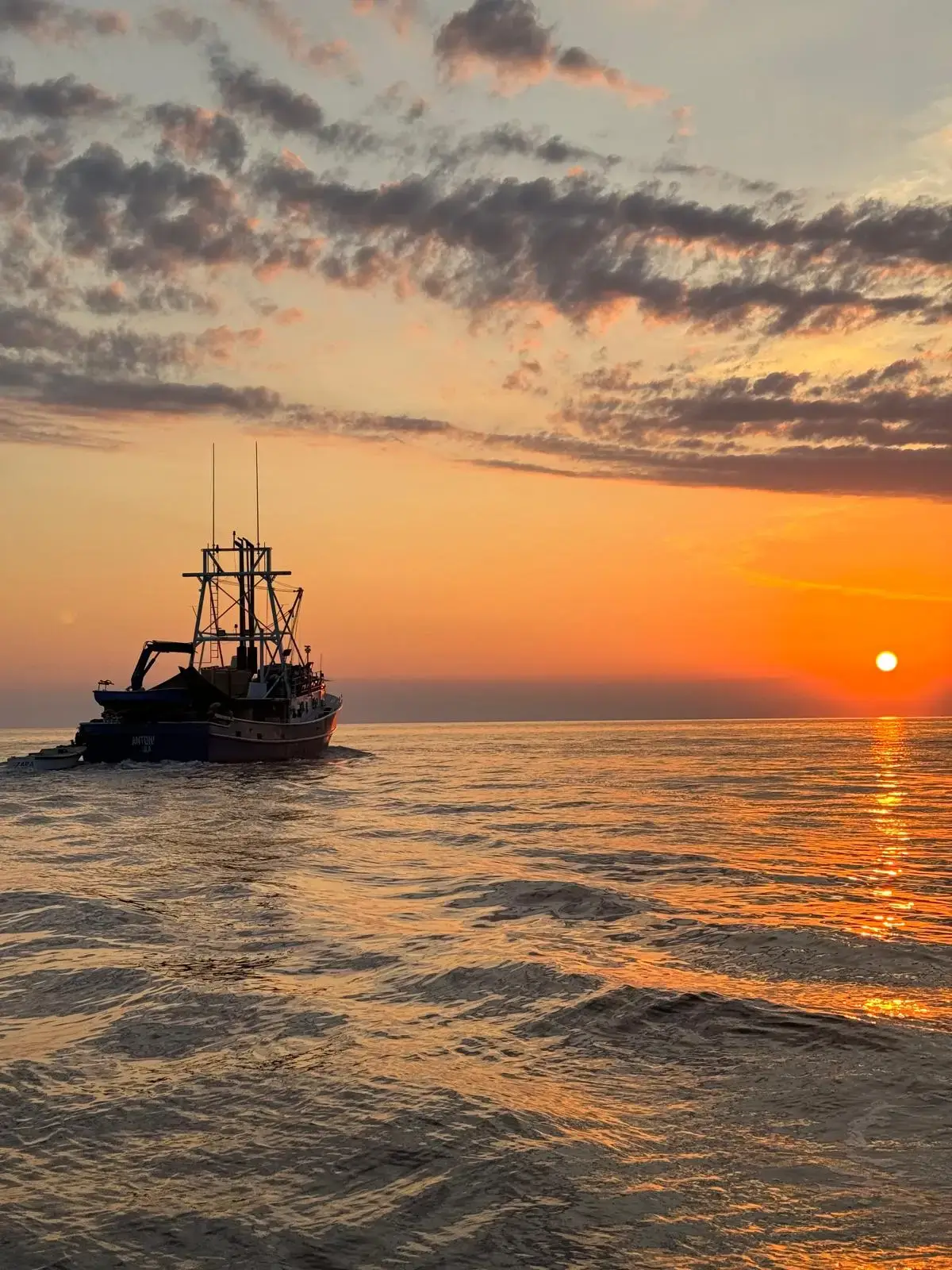 A fishing boat at sunset on the Adriatic Sea during a dolphin tour in Rovinj, Croatia.