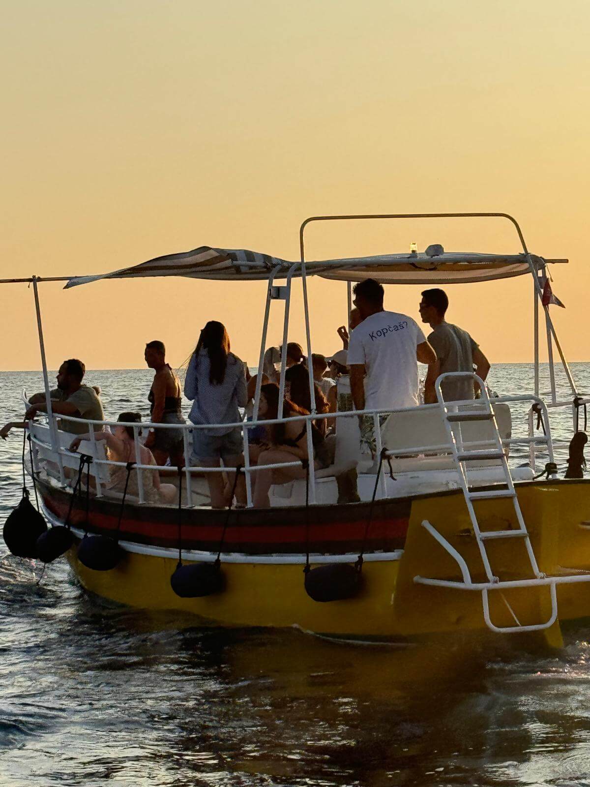 Rovinj-Dolphin-Excursion-Boat-Tour (30)