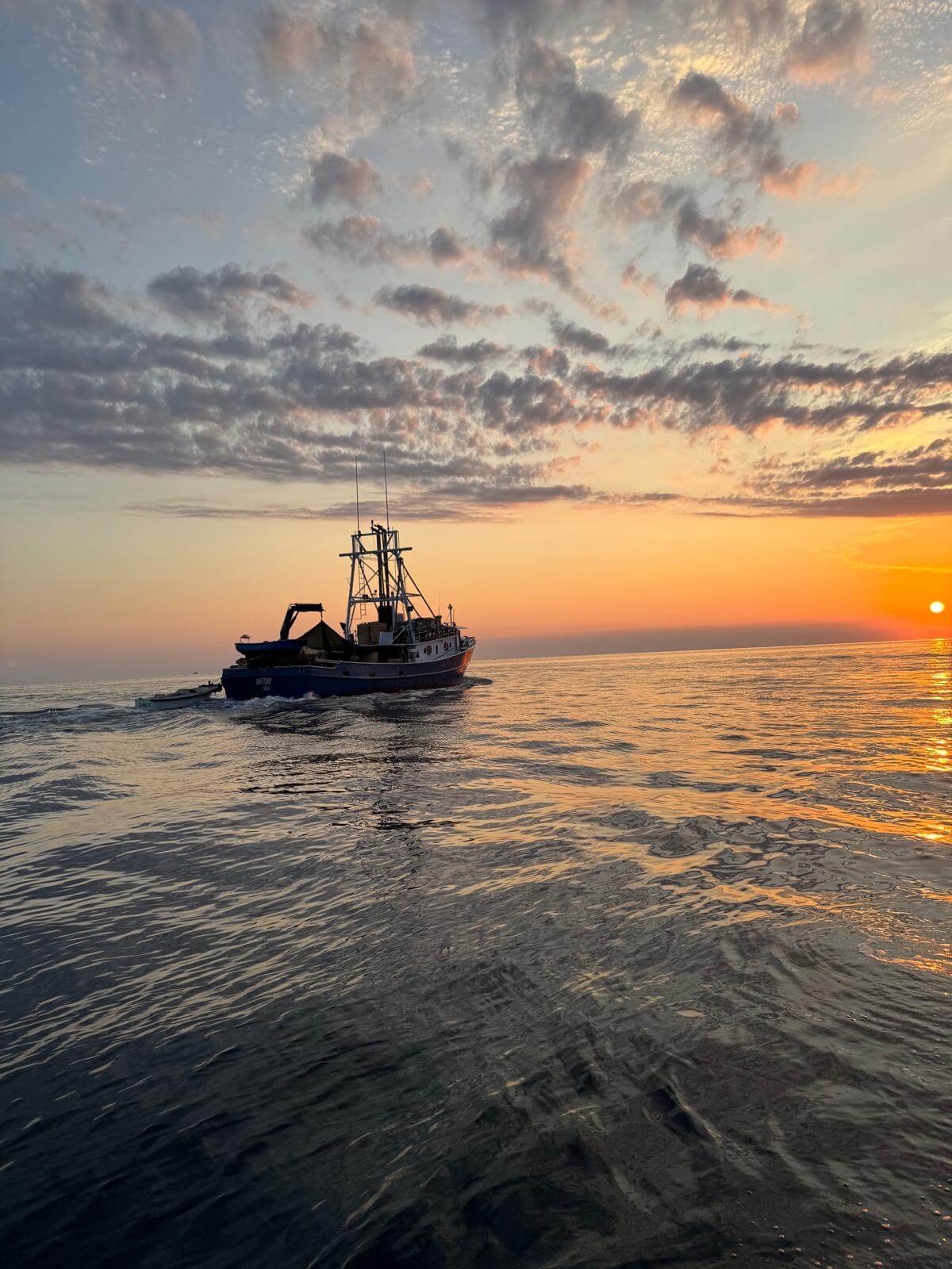 Guests enjoying a beautiful sunset tour with Rovinj Dolphin Excursion, capturing the serene beauty of Rovinj's coastline. A perfect evening on the water with Rovinj Dolphin Excursion, where guests enjoy stunning views and great company.