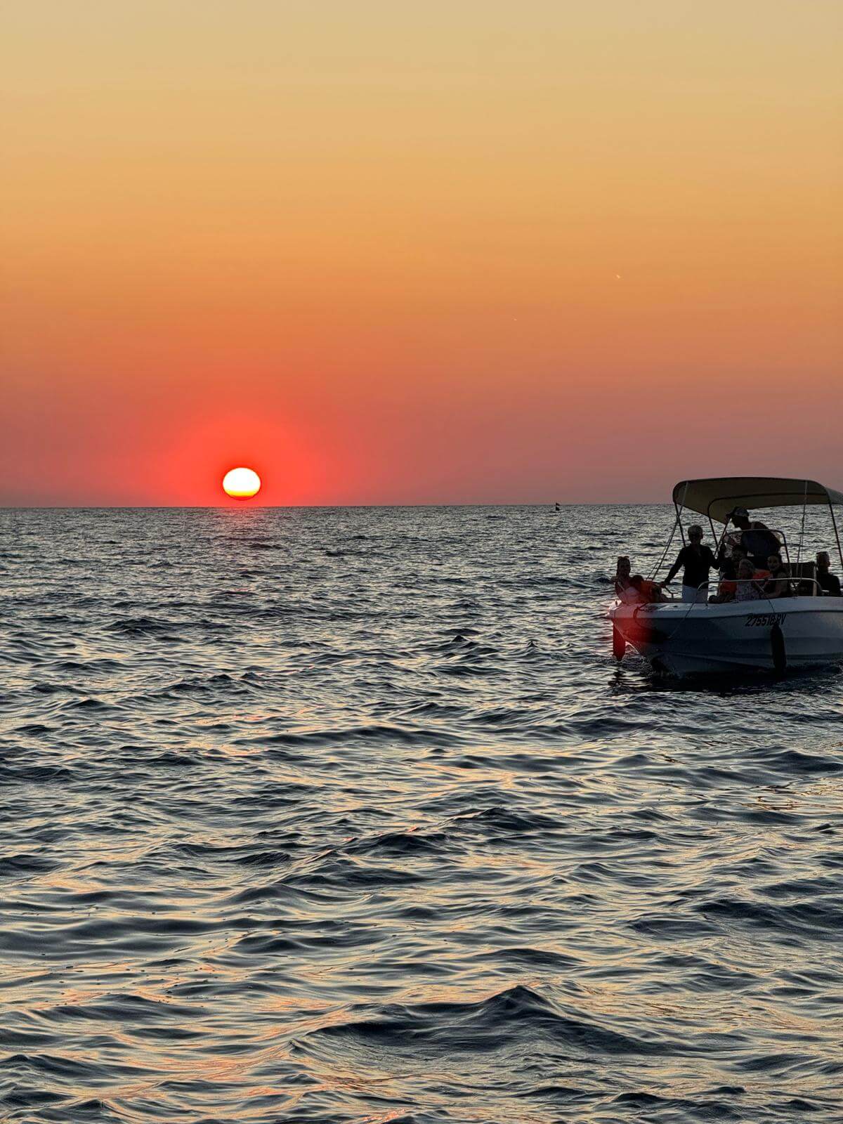 Sunset Dolphin Watching Tour